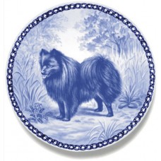 Miniature Spitz